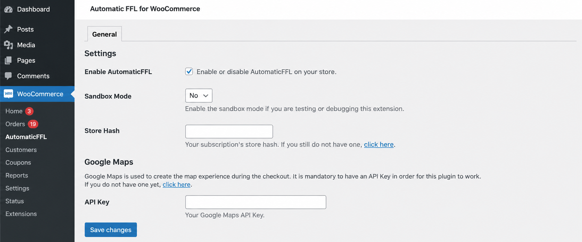 Automatic FFL configuration screen for the Google Maps API key.